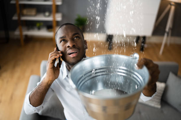 Best Water damage cleanup near me  in Johnsonville, SC