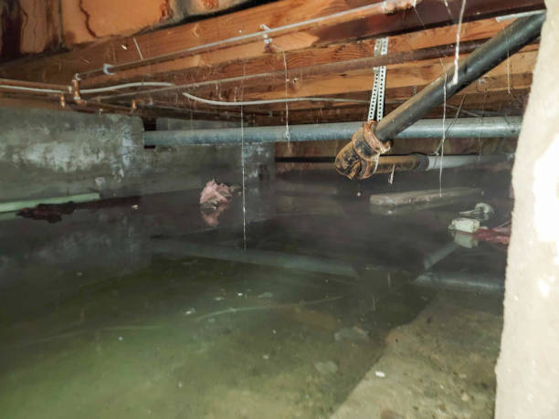 Best 24/7 water damage repair  in Johnsonville, SC
