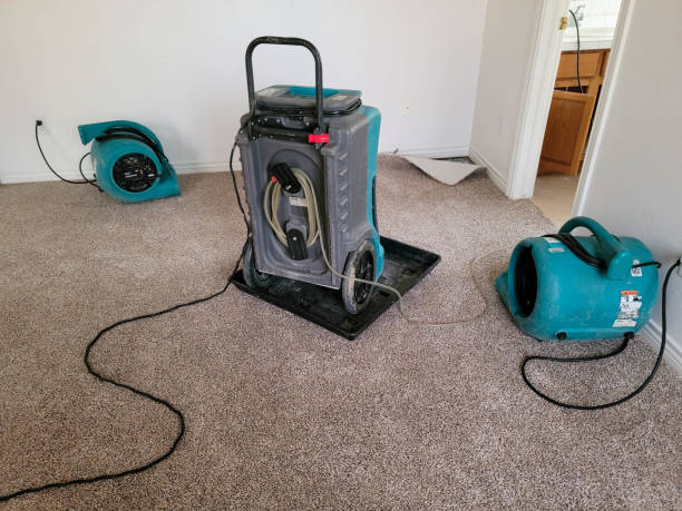 Best Flood restoration services  in Johnsonville, SC