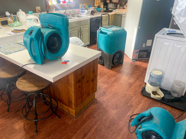 Best Water damage restoration near me  in Johnsonville, SC