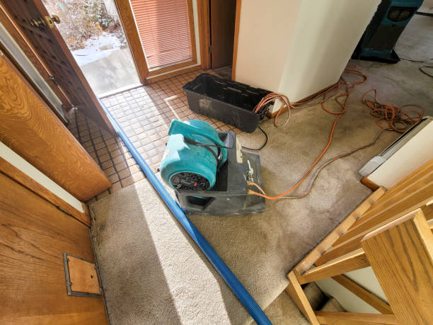 Best Carpet water damage restoration  in Johnsonville, SC