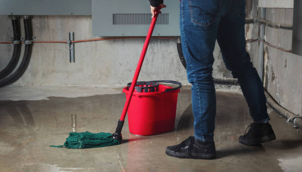 Best Professional water damage repair  in Johnsonville, SC