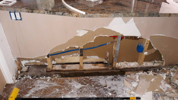 Best Water damage cleanup near me  in Johnsonville, SC