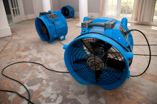 Best Water damage mitigation services  in Johnsonville, SC